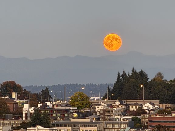 Full Moon