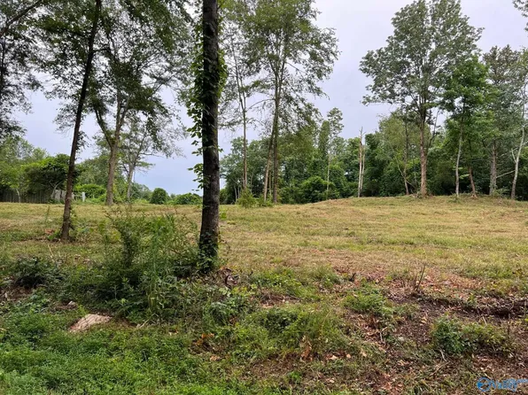 LOT 4 Cherrywood Dr, Guntersville, AL 35976