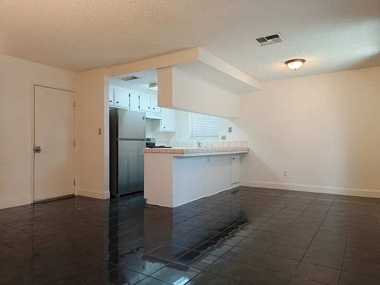 4521 Blossom Valley Ln — Photo 6