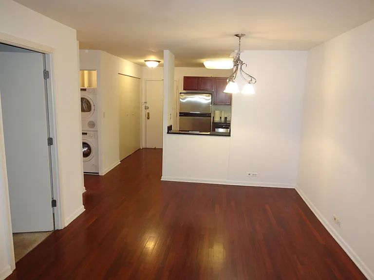 222 E Pearson St #2105 — Photo 2