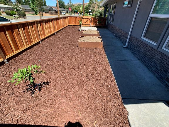 Side yard with new fruit trees and raised bed ready for veggies