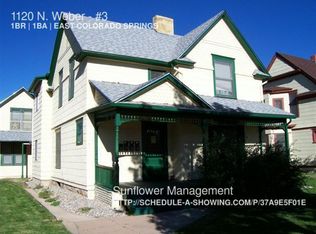 1120 N Weber St APT 3, Colorado Springs, CO 80903