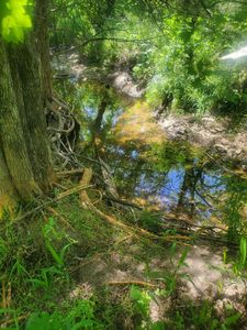 000 E 480th Road Lot #8, Bolivar, MO, 65613