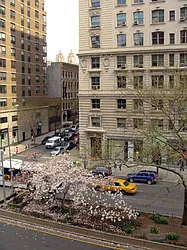 Rented by Boulevard Residentials