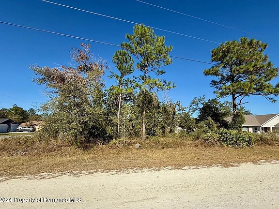 5th image of 13063 Johnathan Dr