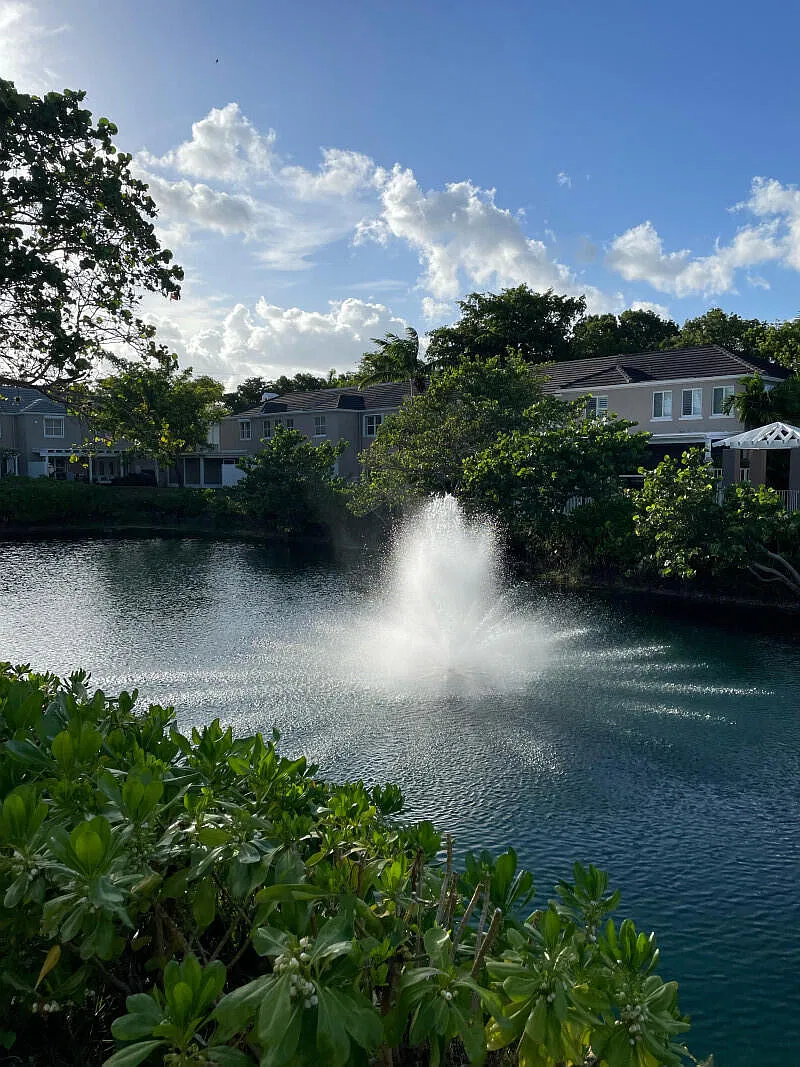 2 bed, 2.0 bath, 1472 sqft, $3,600 — Photo 2