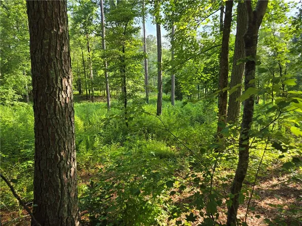 299 Tippens Rd #3, Canton, GA 30114