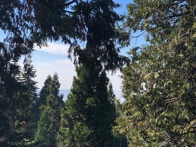 40731 Wild Iris Ln, Shaver Lake, CA, 93664