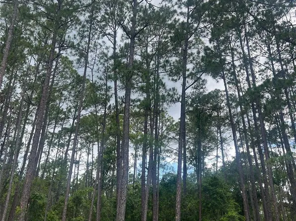 137 E BOUNDARY DRIVE, GEORGETOWN, FL 32139