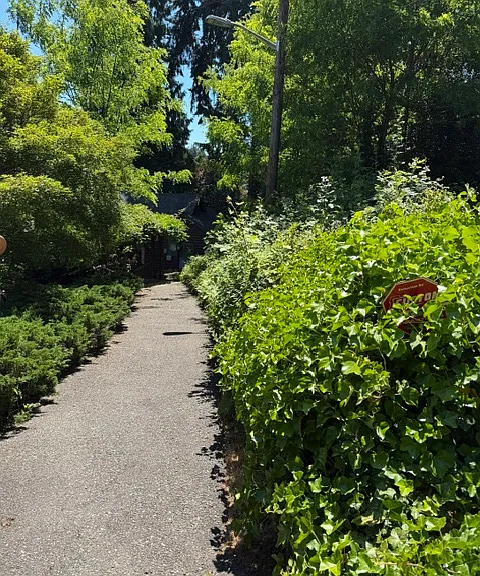 Mount Tacoma Dr SW — Photo 2