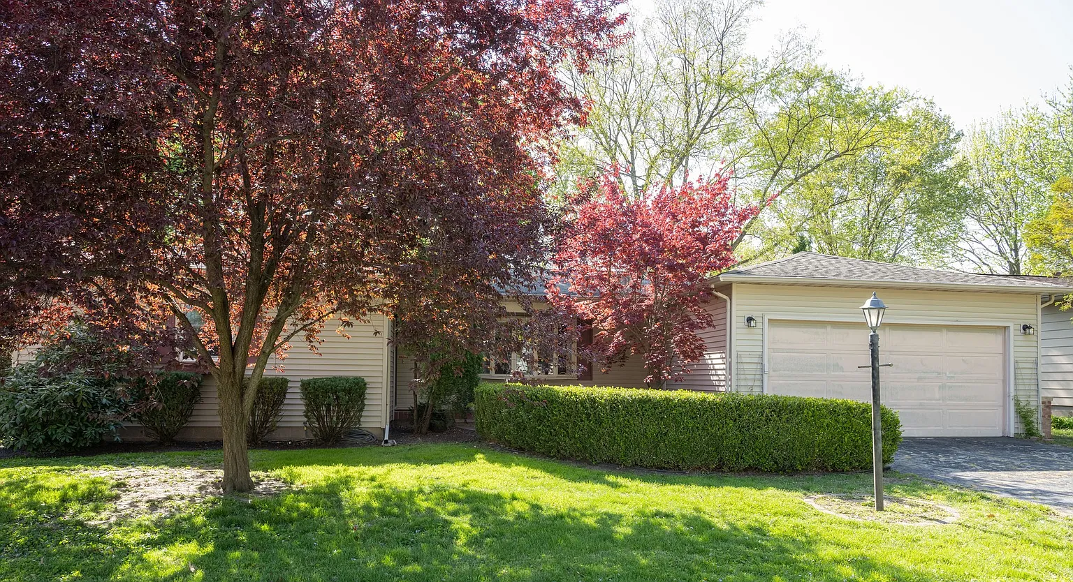 903 Frank Dr photo 1