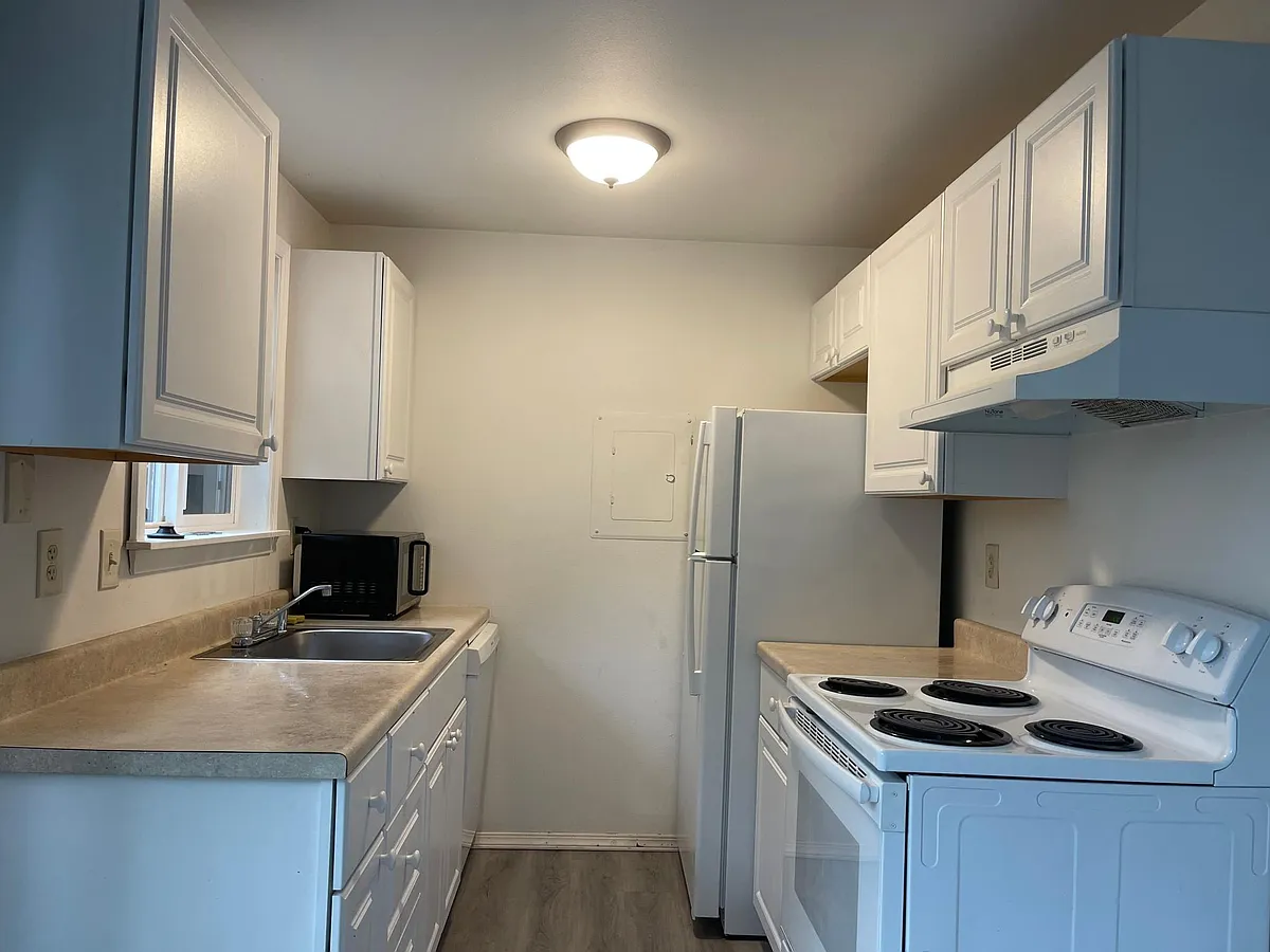 Kitchen with updated cabinet - 605 Williams Ave S #1
