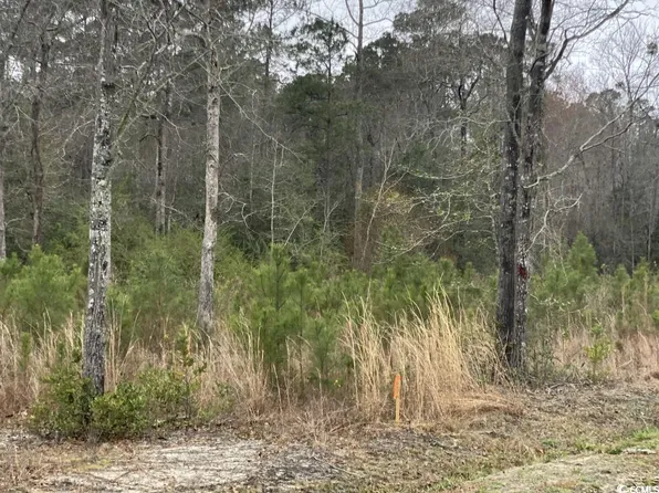 Lot 1 Allsbrook Rd., Loris, SC 29569