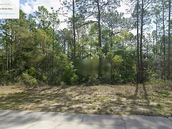 9863 N Emellia Ave, Citrus Springs, FL 34433