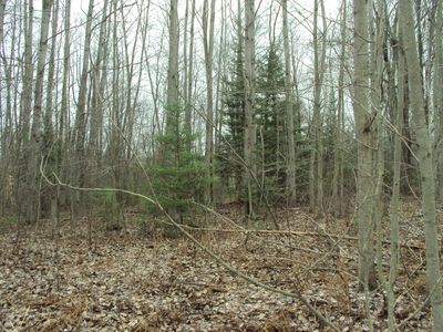 3629 Golfview Dr, Wolverine, MI, 49799