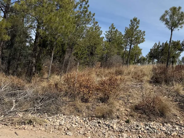 139 Eldrado Dr, Timberon, NM 88350
