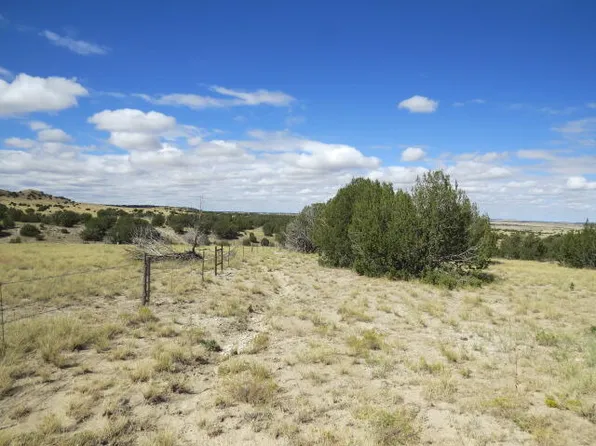 Bear Springs Trl, Model, CO 81059