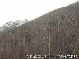 3rd image of 2438 Iron Canyon Dr #39