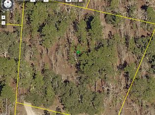 Snow Goose Ave, Weeki wachee, FL 34614