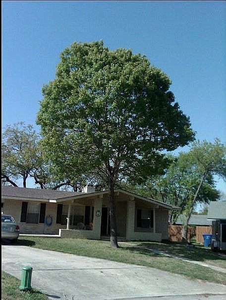 1st image of 1739 Talcott Dr