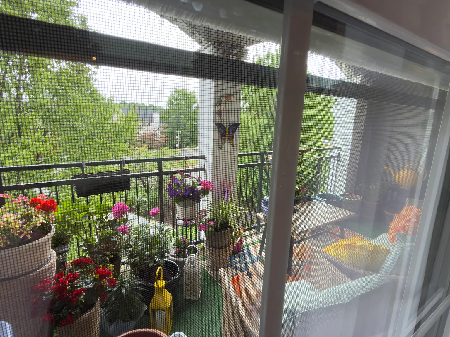 1 bed, 1466 sqft, $1,150 — Photo 4