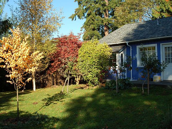 front yard