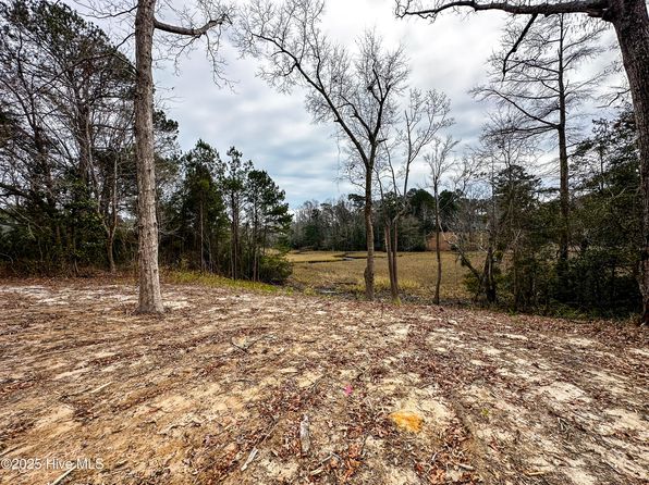1 Williams Store Rd Road, Hampstead, NC 28443