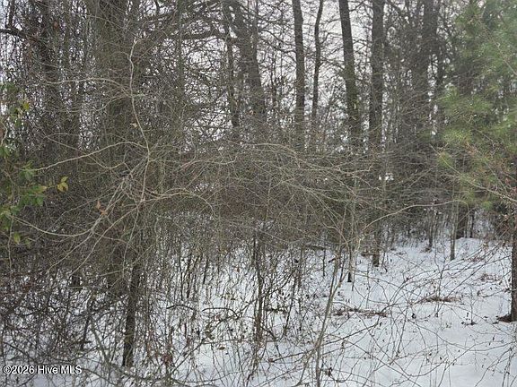 3rd image of 101 Esterville Road