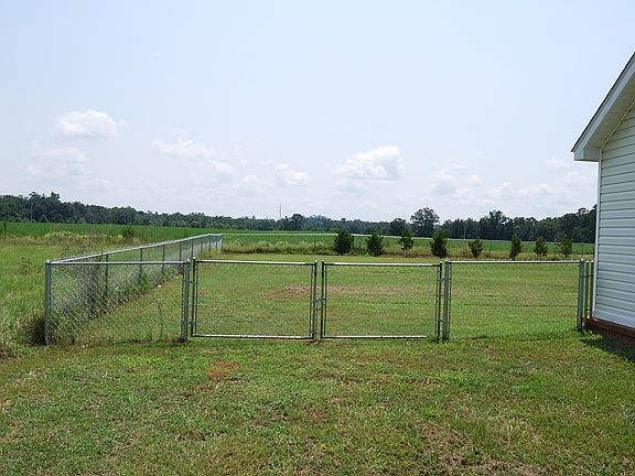 Backyard view from left side