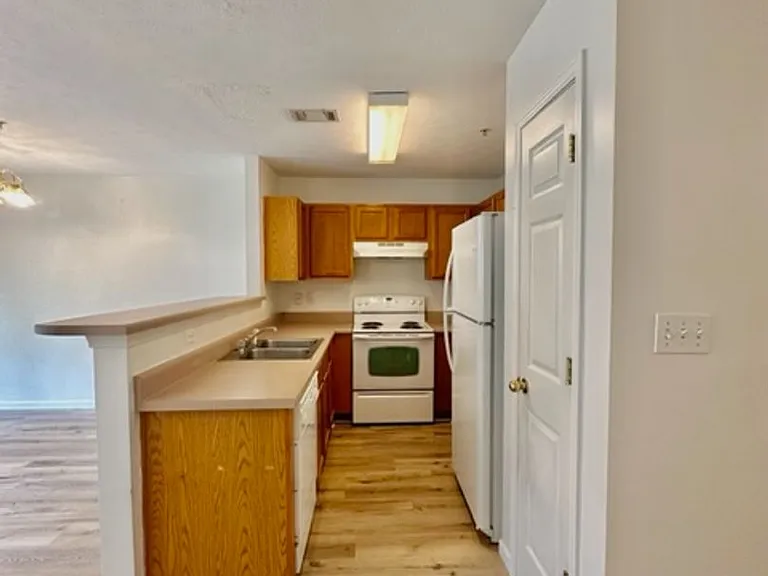 209 Swaying Pine Ct — Photo 5