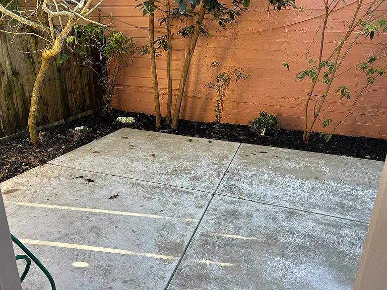 788 Ashbury St — Photo 4