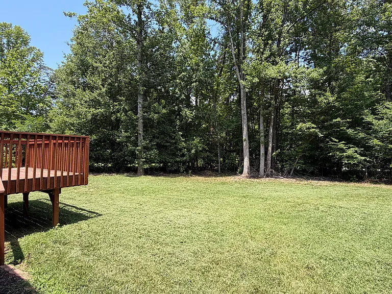 Amazing back yard!