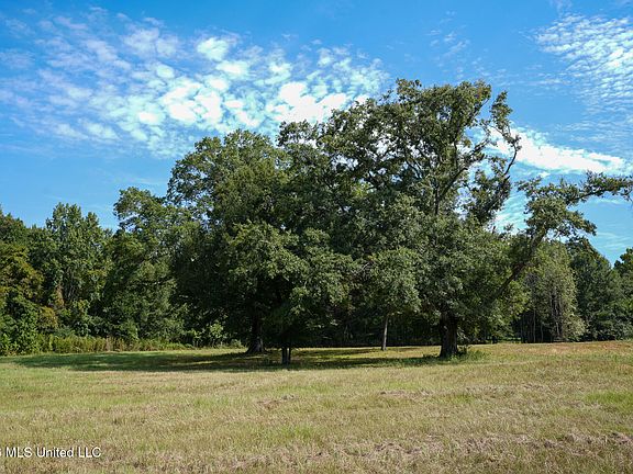 4th image of Cane Creek Rd Lot 7