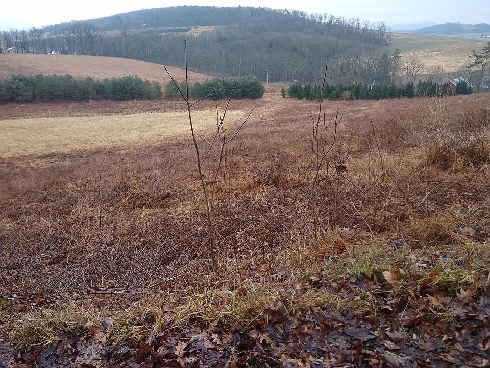 2nd image of Hogs Back Rd