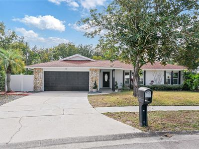 5406 Winfree Dr, Orlando, FL, 32812