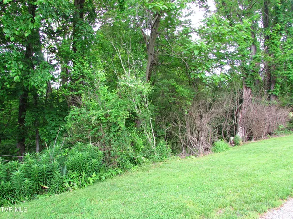 Redwood Dr, Elizabethton, TN 37643