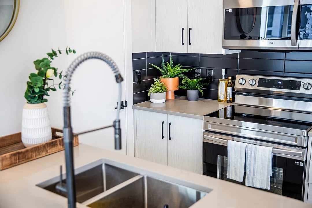 Sage Pointe Townhomes — Photo 4