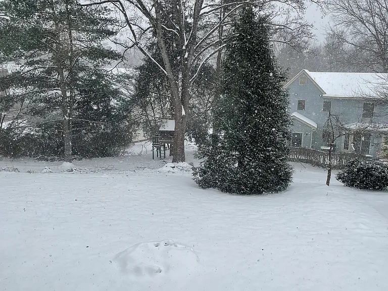 1739 Old Brook Rd — Photo 41