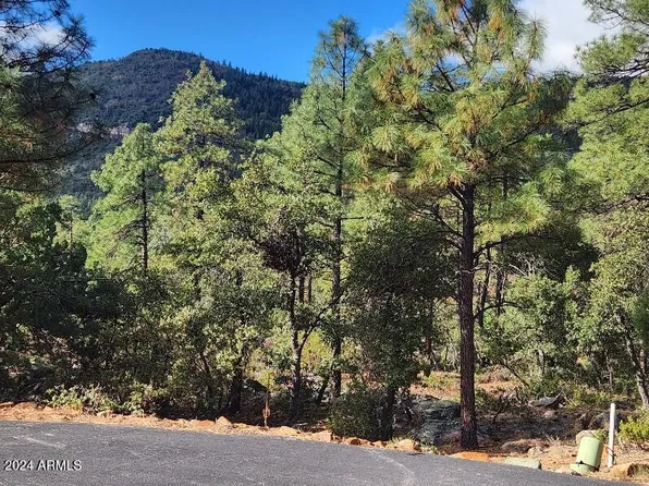 000 N Sundown Lane Lane #104, Pine, AZ 85544
