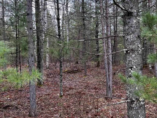 Lot 49 Menominee Shores DRIVE Lot #49, Wausaukee, WI 54177