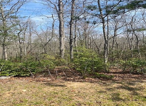 5th image of LOT 6 Brasstown Vw