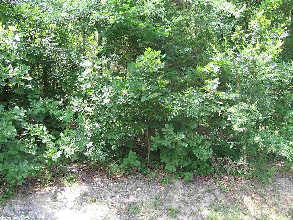 2nd image of 40 Campana Ln