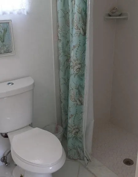 741 Tumblebrook Dr — Photo 9