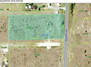 0 Bayamon Ave LOT 8, Polk City, FL 33868