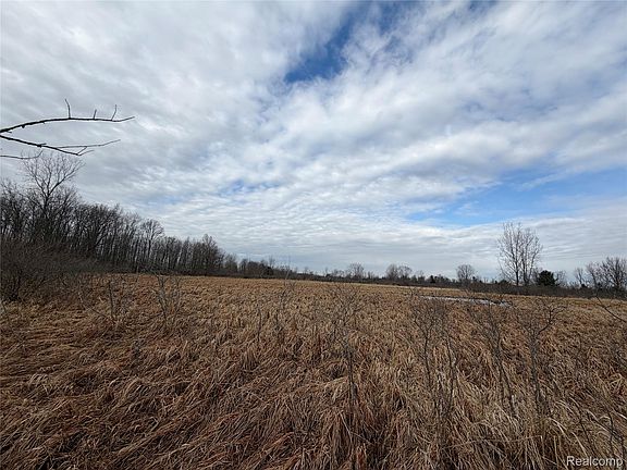 2nd image of 15193 Jeddo Rd