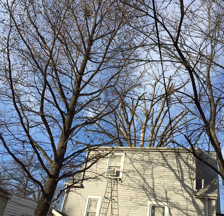 2nd image of 1803 Pace Ave