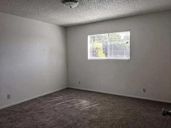 204 Aspen St #D-4 — Photo 6