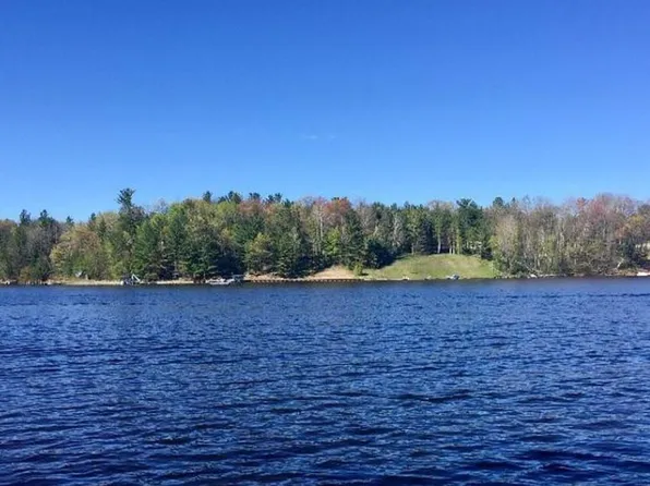 0 S Forest Lake Dr, Alger, MI 48610