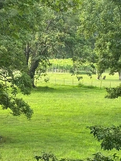 2 bed, 856 sqft, $2,000 — Photo 3