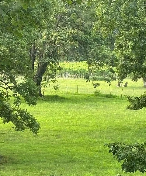 16 Gibson Hollow Ln — Photo 3
